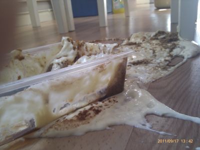 Random Collection Photos