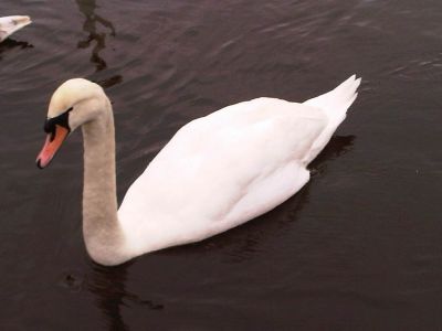 Random Collection Photos